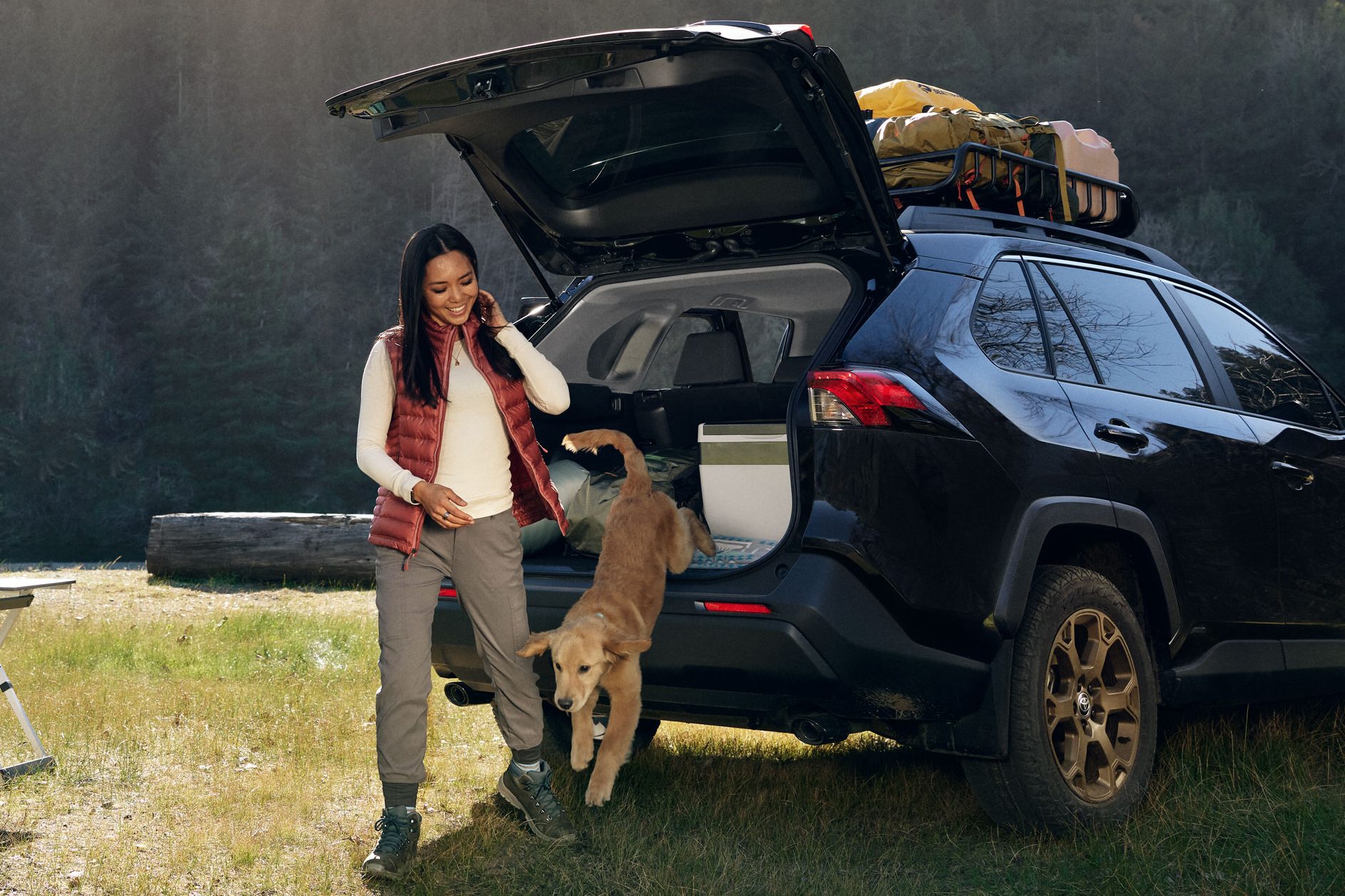 Dog jumping out of packed car